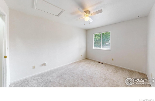 3025 W Stuart St, Fort Collins, CO 80526 - photo 17