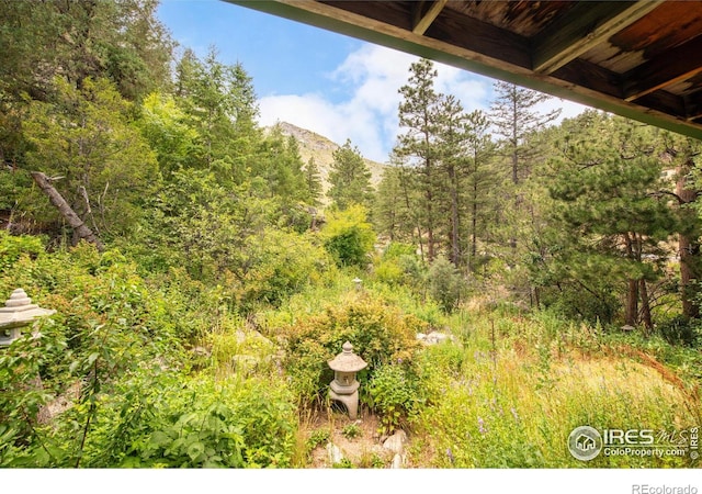35112 Boulder Canyon Dr, Boulder, CO 80302 - photo 25