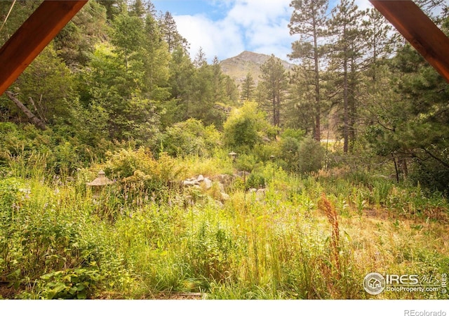 35112 Boulder Canyon Dr, Boulder, CO 80302 - photo 28