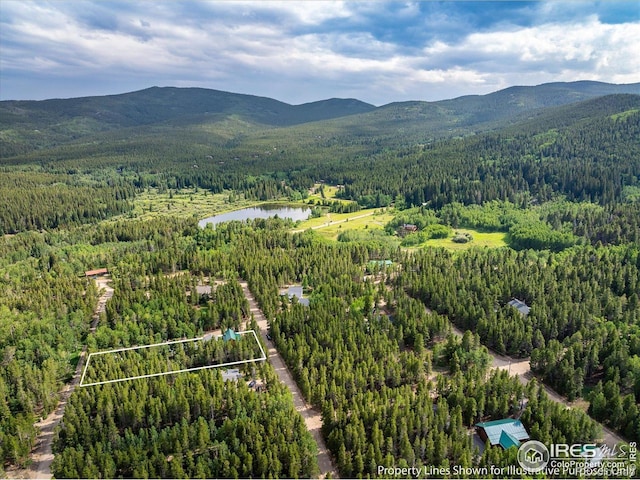 177 Lake St, Black Hawk, CO 80422 - photo 35