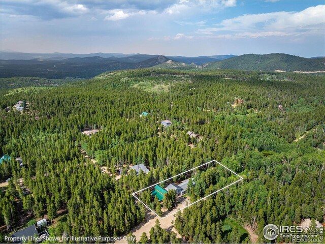 177 Lake St, Black Hawk, CO 80422 - photo 37
