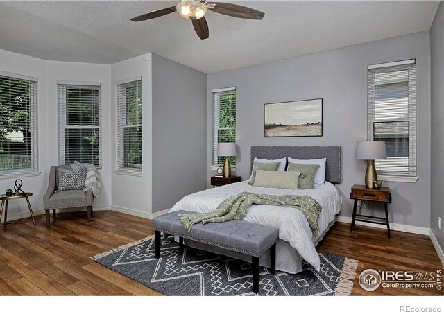 1735 Crestone Dr, Longmont, CO 80504 - photo 13