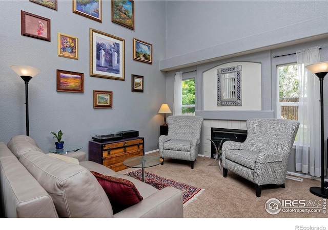 13441 Cherry St, Thornton, CO 80241 - photo 5