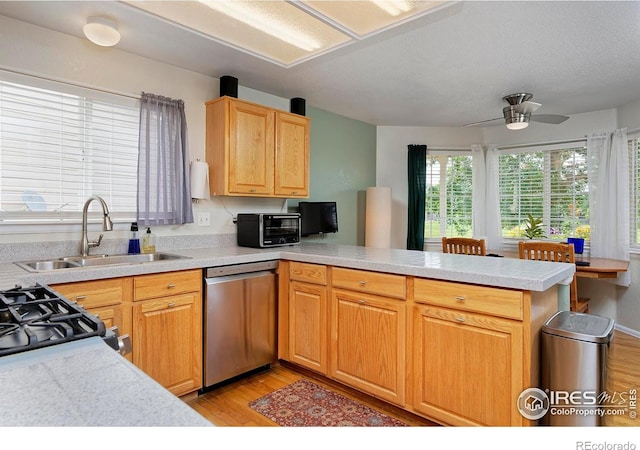 13441 Cherry St, Thornton, CO 80241 - photo 10