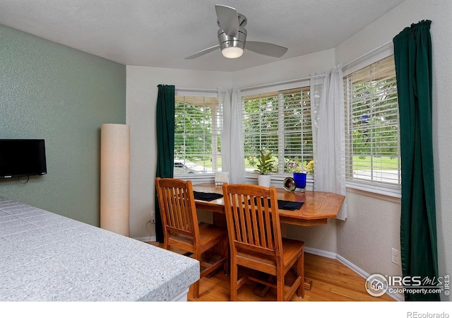 13441 Cherry St, Thornton, CO 80241 - photo 13