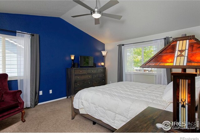 13441 Cherry St, Thornton, CO 80241 - photo 17