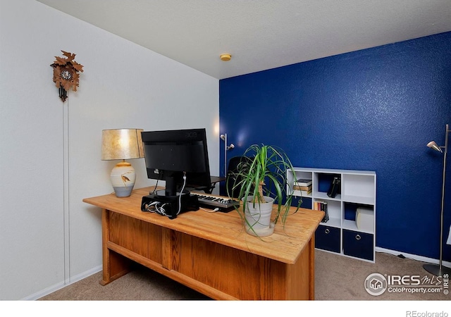 13441 Cherry St, Thornton, CO 80241 - photo 22