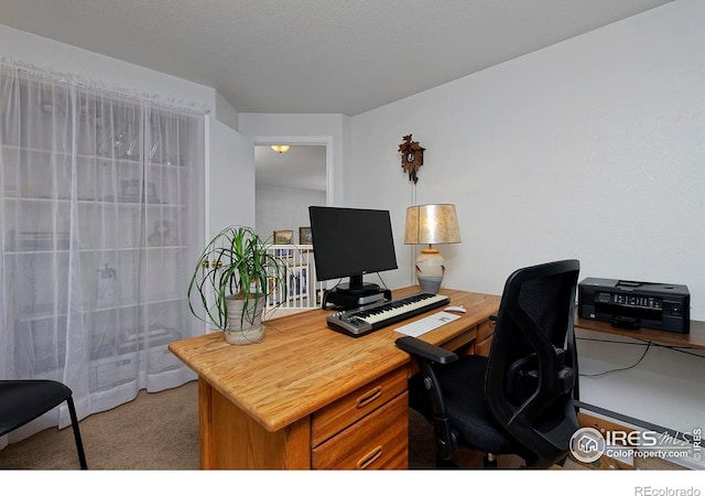 13441 Cherry St, Thornton, CO 80241 - photo 23