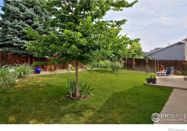 13441 Cherry St, Thornton, CO 80241 - photo 35