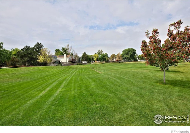 13441 Cherry St, Thornton, CO 80241 - photo 37