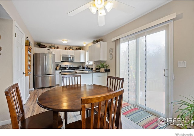 5912 Boyne Ct, Fort Collins, CO 80525 - photo 12