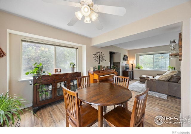 5912 Boyne Ct, Fort Collins, CO 80525 - photo 13