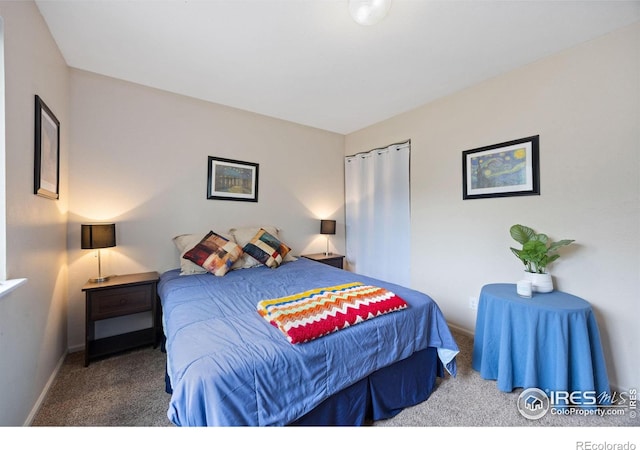 5912 Boyne Ct, Fort Collins, CO 80525 - photo 19