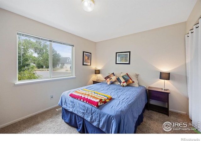5912 Boyne Ct, Fort Collins, CO 80525 - photo 20