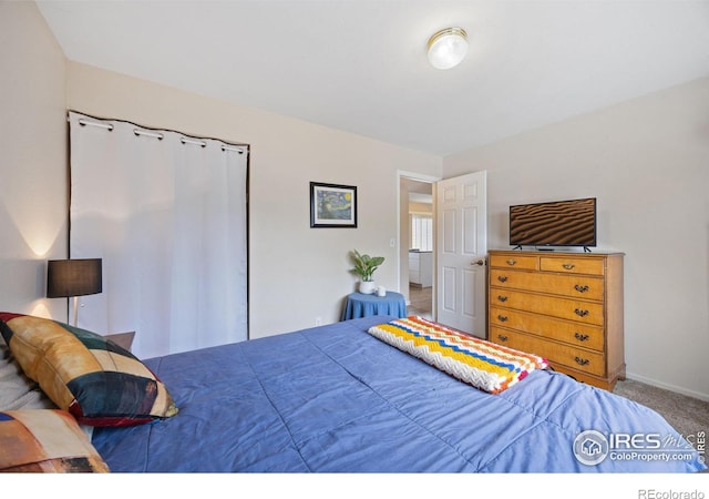 5912 Boyne Ct, Fort Collins, CO 80525 - photo 21