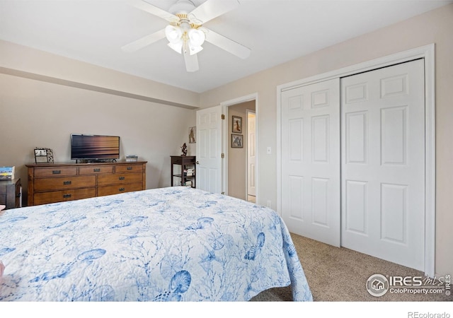 5912 Boyne Ct, Fort Collins, CO 80525 - photo 22