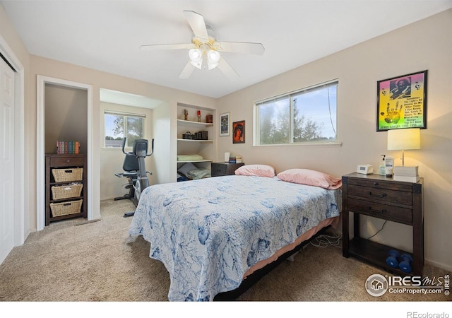 5912 Boyne Ct, Fort Collins, CO 80525 - photo 23
