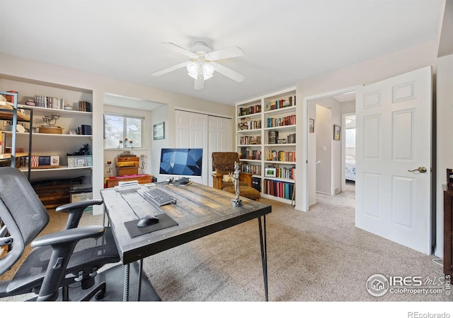 5912 Boyne Ct, Fort Collins, CO 80525 - photo 28