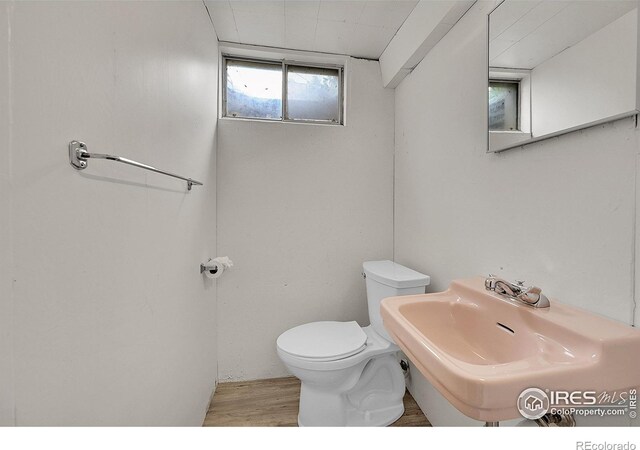 512 26th Avenue Ct, Greeley, CO 80634 - photo 21