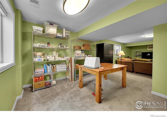 1107 White Oak Ct, Fort Collins, CO 80525 - photo 27
