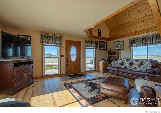 740 Walno Ave, Livermore, CO 80536 - photo 19