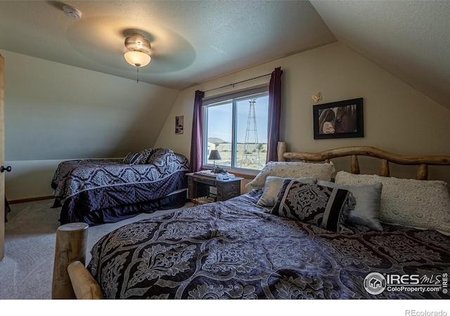 740 Walno Ave, Livermore, CO 80536 - photo 32