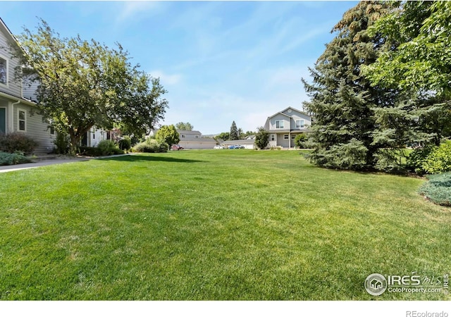 2925 W Stuart St Unit 11, Fort Collins, CO 80526 - photo 3