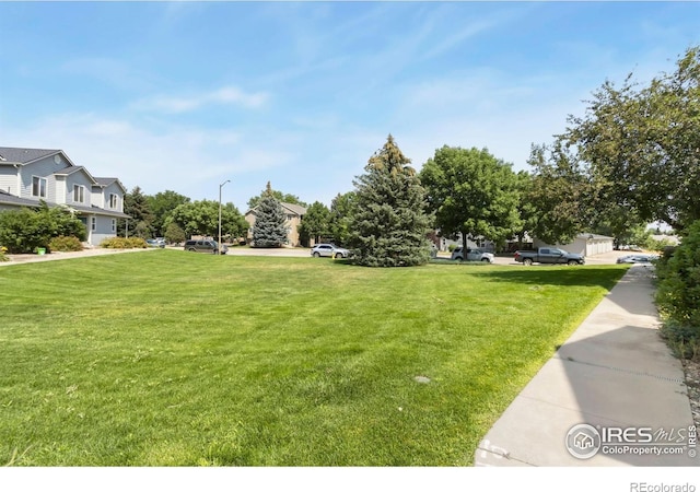 2925 W Stuart St Unit 11, Fort Collins, CO 80526 - photo 5