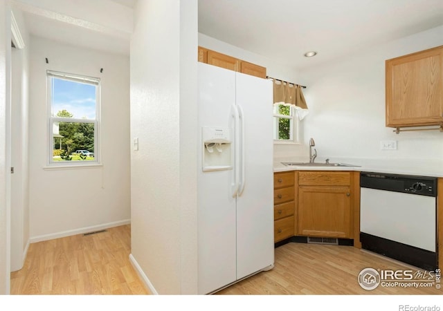 2925 W Stuart St Unit 11, Fort Collins, CO 80526 - photo 6