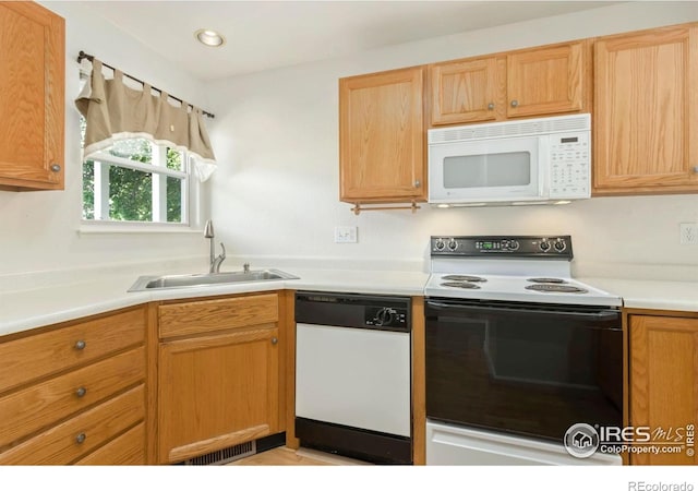 2925 W Stuart St Unit 11, Fort Collins, CO 80526 - photo 12