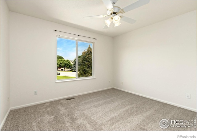2925 W Stuart St Unit 11, Fort Collins, CO 80526 - photo 19