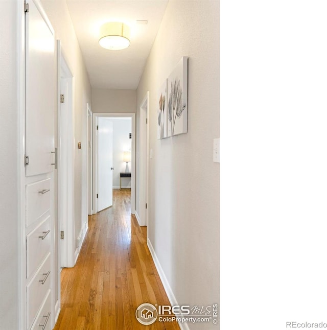 260 S Jasmine St, Denver, CO 80224 - photo 15