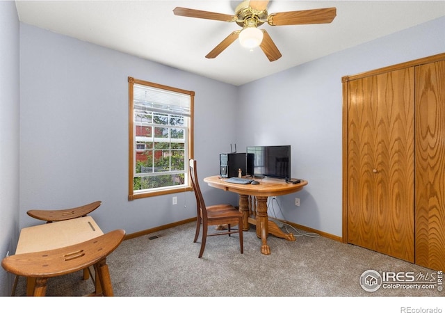 305 E Colorado Ave, Berthoud, CO 80513 - photo 13