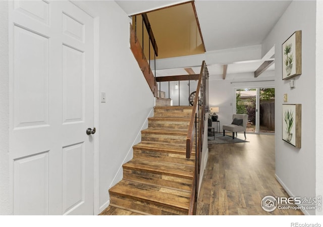 1700 Palm Dr Unit 2, Fort Collins, CO 80526 - photo 4