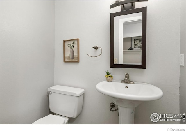 1700 Palm Dr Unit 2, Fort Collins, CO 80526 - photo 5