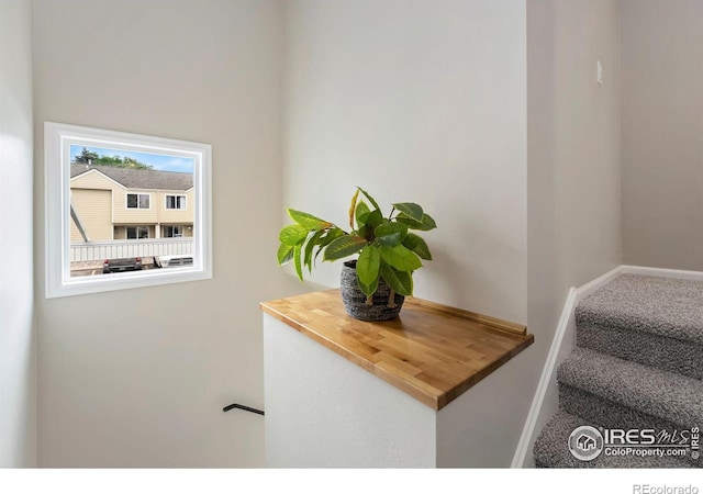 3005 Ross Dr Unit T5, Fort Collins, CO 80526 - photo 16