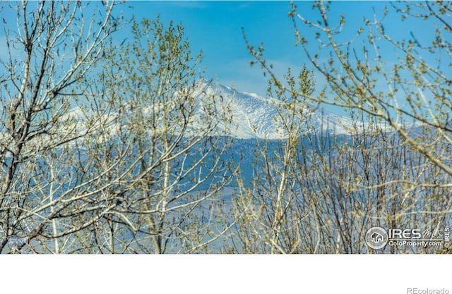 2305 Glacier Ct, Lafayette, CO 80026 - photo 26