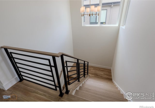 2305 Glacier Ct, Lafayette, CO 80026 - photo 35