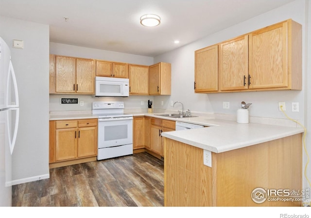 2702 Rigden Pkwy Unit 5, Fort Collins, CO 80525 - photo 9