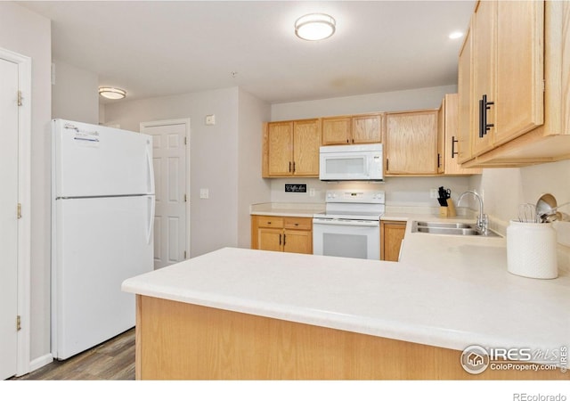 2702 Rigden Pkwy Unit 5, Fort Collins, CO 80525 - photo 10