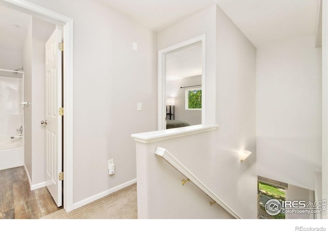 2702 Rigden Pkwy Unit 5, Fort Collins, CO 80525 - photo 18