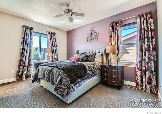 10834 Graphite St, Broomfield, CO 80021 - photo 11