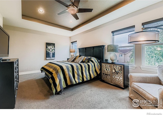 10834 Graphite St, Broomfield, CO 80021 - photo 15