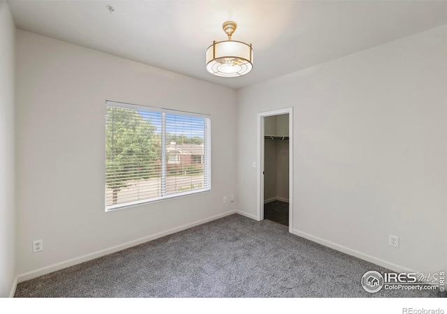 4545 Wheaton Dr Unit 240, Fort Collins, CO 80525 - photo 12