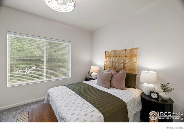 4545 Wheaton Dr Unit 240, Fort Collins, CO 80525 - photo 16