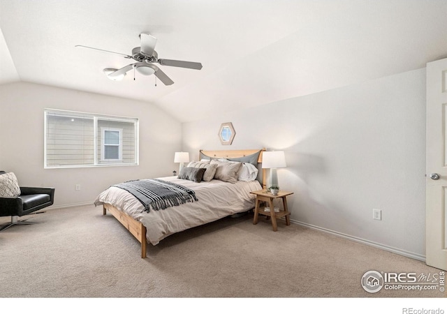 351 Bannock St, Fort Collins, CO 80524 - photo 19