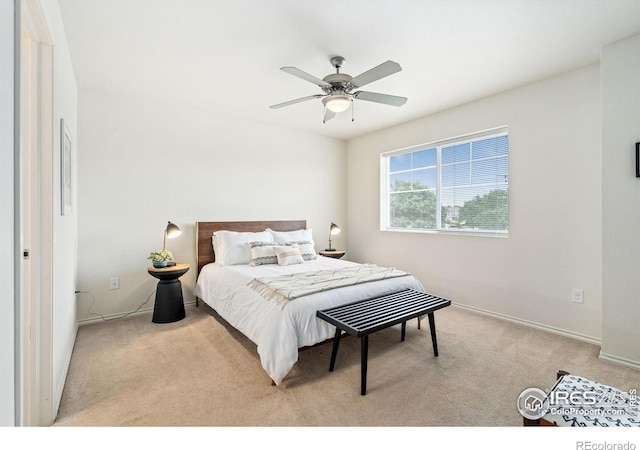351 Bannock St, Fort Collins, CO 80524 - photo 20