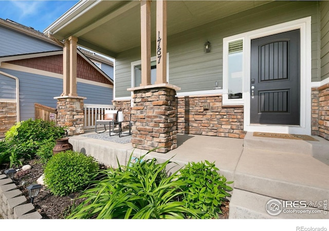 1787 Avery Plaza St, Severance, CO 80550 - photo 2