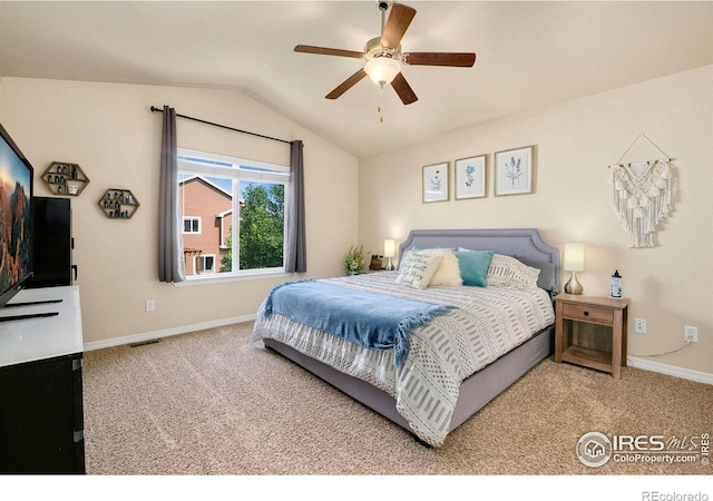 1787 Avery Plaza St, Severance, CO 80550 - photo 14
