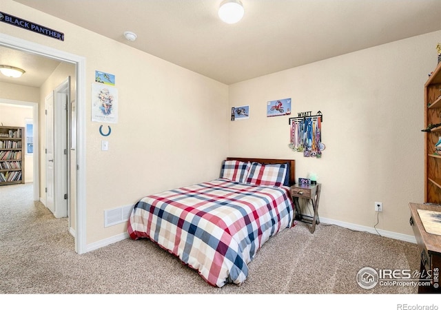 1787 Avery Plaza St, Severance, CO 80550 - photo 18